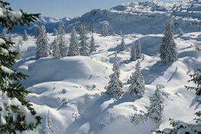 Idyllisch gelegen, die Hochebene von Paganella.