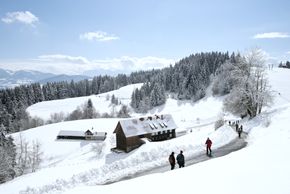 Der Pfänder liegt im Bregenzerwald am Bodensee.