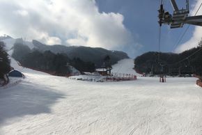 22 Pisten gibt es im Skigebiet Phoenix Park.