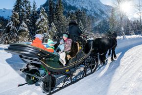 Pferdeschlittenfahrt in die Karwendeltäler in Pertisau