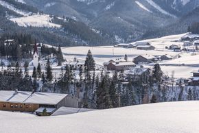 Blick auf den Ort Steinberg mit Pfarrkirche