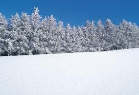 Wintersportler können im Skigebiet zwischen neun Abfahrten wählen