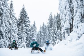 Rodelspaß in der Region: Hochwurzen, Pichl und Galsterberg bieten abwechslungsreiche Strecken – teils sogar bei Nacht.