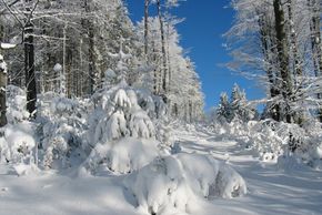 Winterlandschaft am Gibacht