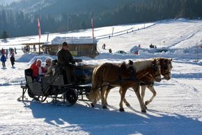 Nach einem schönen Tag auf der Piste lässt sich die Winterlandschaft bequem auf dem Pferdeschlitten erkunden.
