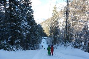 Detaillierte Infos zum Skiurlaub im Skigebiet Wildalpen