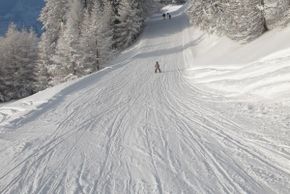 Abfahrten in den verschneiten Wäldern. ©heidadorf.ch