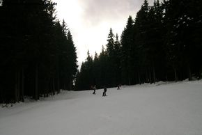 Die rote Piste Nr. 6 ist die anspruchsvollste Piste im Gebiet, aber auch für Anfänger kein Problem!