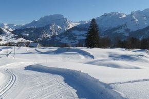 Winterliche Langlaufloipe Oberberg