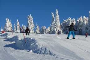 Information on Cross-Country Skiing at Mitterdorf