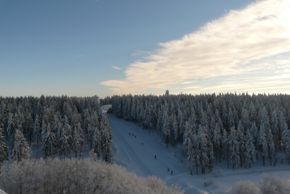 Information on Cross-Country Skiing at Neuhaus am Rennweg
