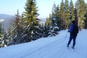 Information on Cross-Country Skiing at Neuhaus am Rennweg