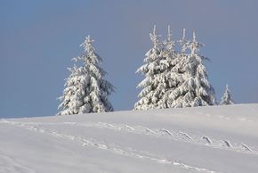 Information on Cross-Country Skiing at Neuhaus am Rennweg