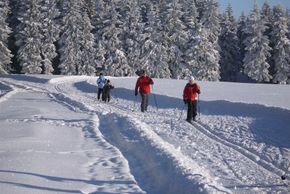 Information on Cross-Country Skiing at Neuhaus am Rennweg