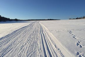 Information on Cross-Country Skiing at Neuhaus am Rennweg