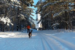 Information on Cross-Country Skiing at Oberweißbach