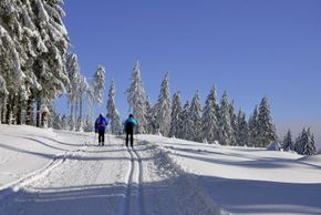 The cross-country skiing tracks in Oberhof comprise up to 50km in length.