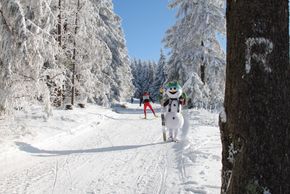Information on Cross-Country Skiing at Oberhof