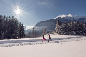 Information on Cross-Country Skiing at Achensee