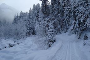 Detaillierte Infos zum Langlauf und den Loipen im Langlaufgebiet Aeschi