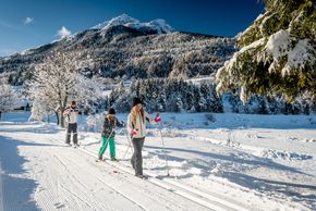 Information on Cross-Country Skiing at Andalo - Paganella