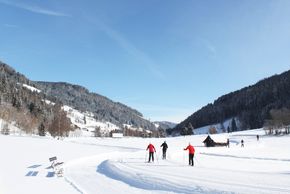 Information on Cross-Country Skiing at Bad Kleinkirchheim
