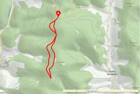 Information on Cross-Country Skiing at Beerfelden