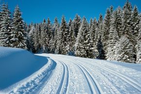 Detaillierte Infos zum Langlauf und den Loipen im Langlaufgebiet Loipenzentrum Bernau