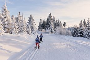 Die Loipen hier im Arberland sind ein Traum für Groß und Klein.