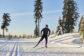 Die Loipen von Bodenmais-Bretterschachten bieten Blicke ins tiefverschneite Umland.