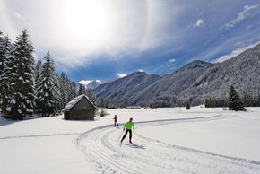 Information on Cross-Country Skiing at Bodental