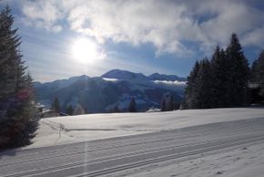 Information on Cross-Country Skiing at Chur Brambrüesch