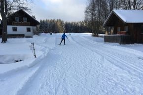 Information on Cross-Country Skiing at Cross Country Center Mauth-Finsterau