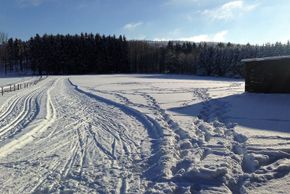 Information on Cross-Country Skiing at Cross Country Center Emmerzhausen