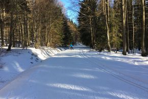 Information on Cross-Country Skiing at Cross Country Center Grainet - Obergrainet - Haidel