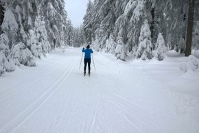 Information on Cross-Country Skiing at Cross Country Center Grainet - Obergrainet - Haidel