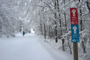 Information on Cross-Country Skiing at Cross Country Center Grainet - Obergrainet - Haidel