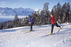Information on Cross-Country Skiing at Cross Country Skiing Predigstuhl