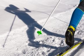 Information on Cross-Country Skiing at Cross Country Skiing Predigstuhl