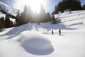 Information on Cross-Country Skiing at Disentis