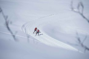 Information on Cross-Country Skiing at Disentis