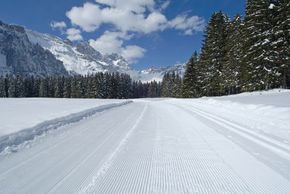 Ideale Langlaufbedingungen