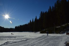 Information on Cross-Country Skiing at Fanningberg