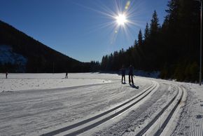 Information on Cross-Country Skiing at Fanningberg