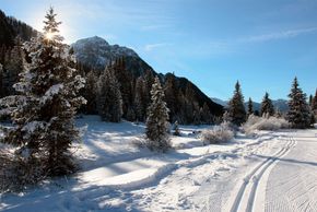Auf den Loipen kann man durch die herrliche Winterlandschaft gleiten.