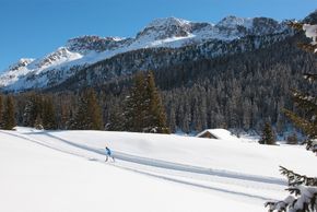 Die Stille der Natur beim Langlaufen genießen.