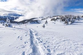 Panoramaloipe Feldiser Hochland