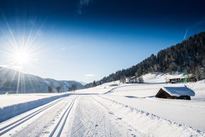 Traumhafte Winterlandschaft