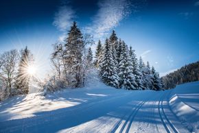 Langlaufen in malerischer Winterlandschaft