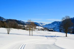 Detaillierte Infos zum Langlauf und den Loipen im Langlaufgebiet Goldegg